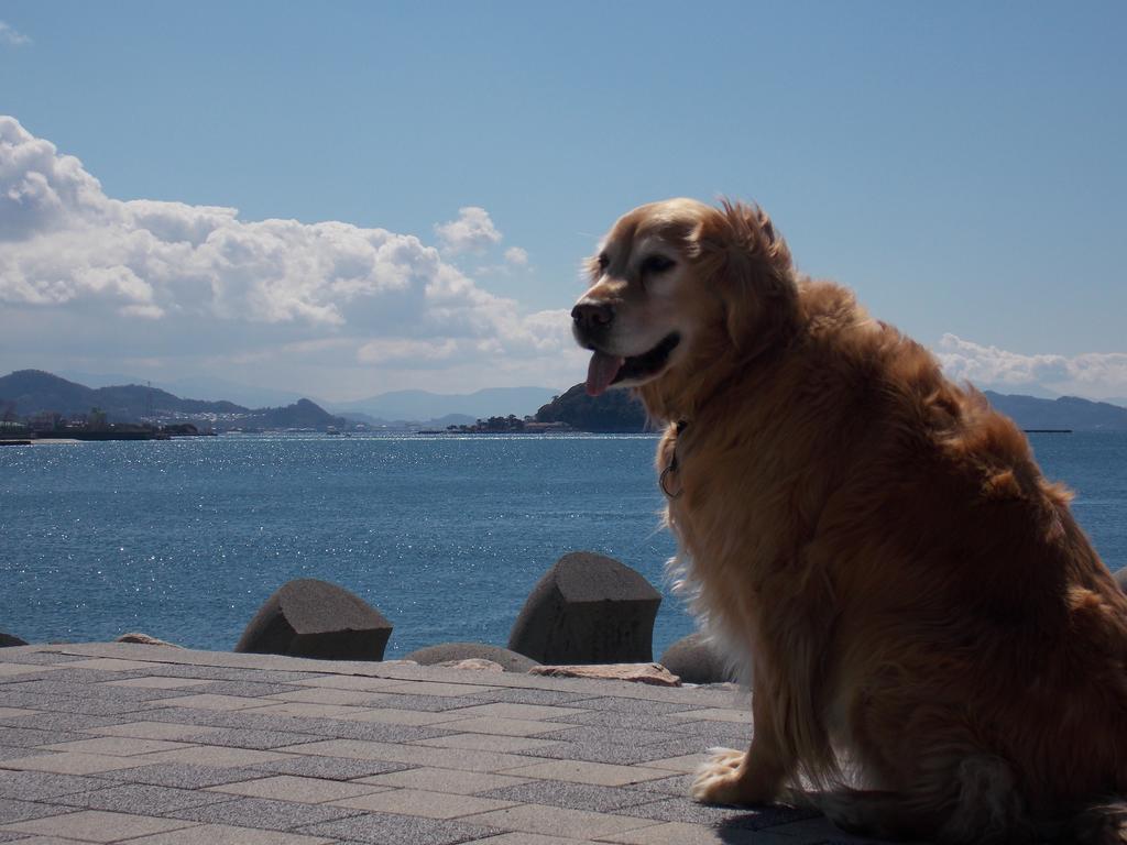 松山 北条水郡青年旅舍旅舍 外观 照片