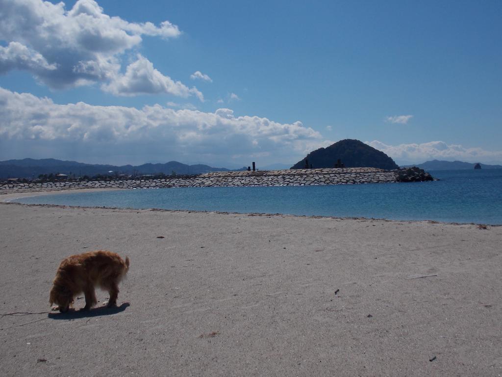 松山 北条水郡青年旅舍旅舍 外观 照片