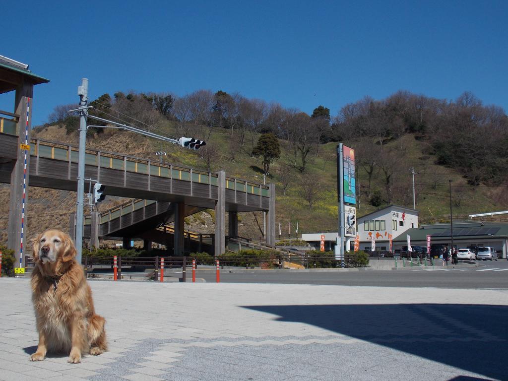 松山 北条水郡青年旅舍旅舍 外观 照片